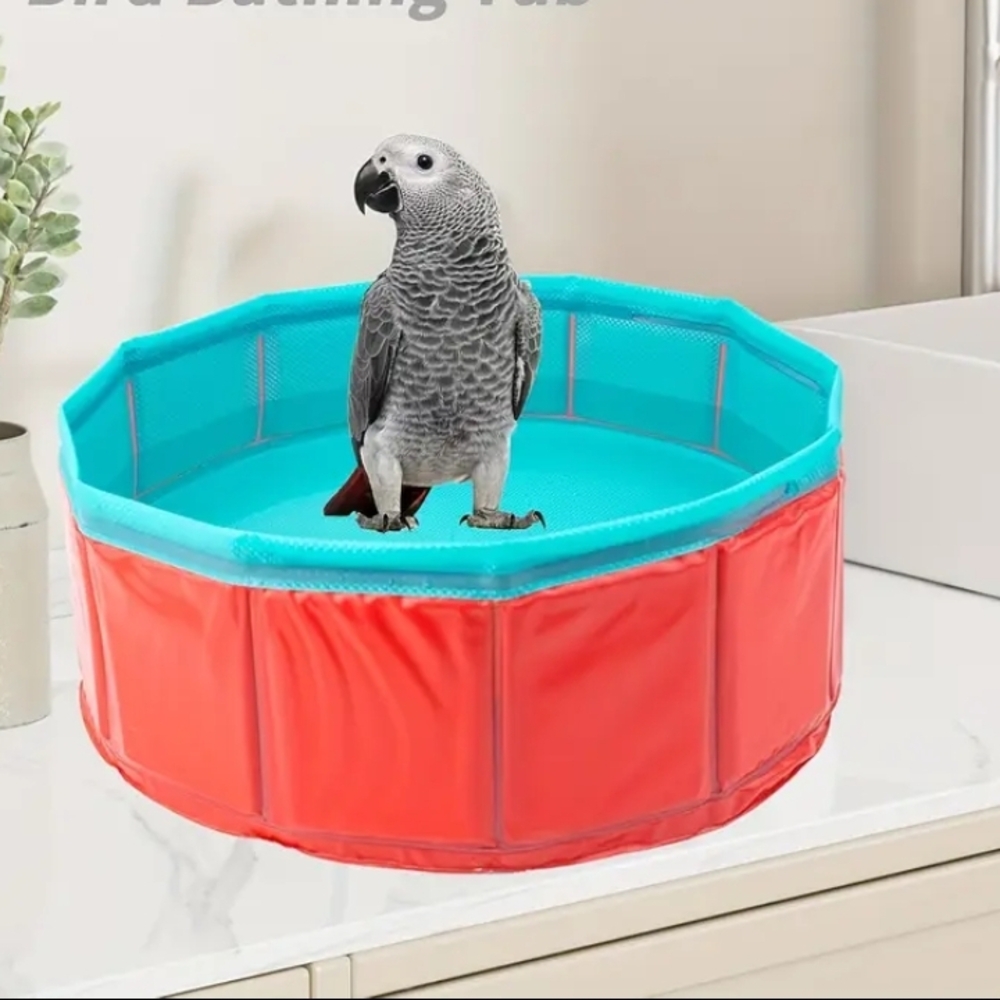 Bird Swimming Pool - Picture 6 of 6